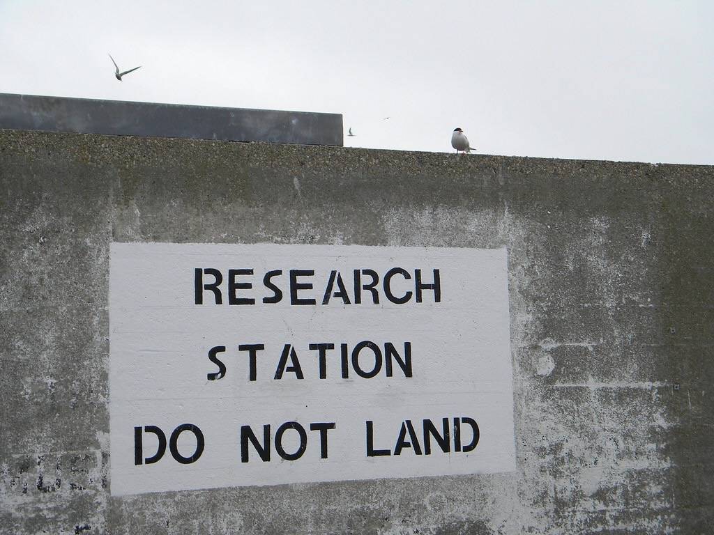 Great Gull Island, NY by Sarah Nystrom/U. S. Fish and Wildlife Service - Northeast Region is marked with Public Domain Mark 1.0.